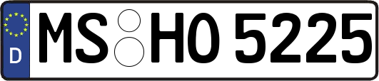 MS-HO5225