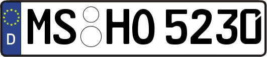 MS-HO5230