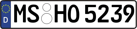 MS-HO5239