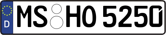 MS-HO5250