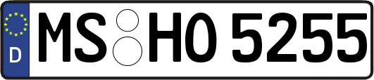 MS-HO5255