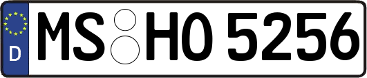 MS-HO5256