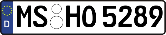 MS-HO5289