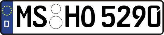 MS-HO5290