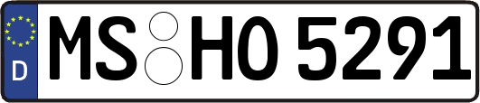 MS-HO5291