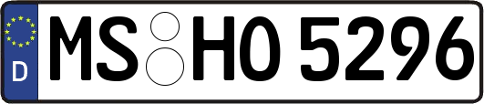 MS-HO5296