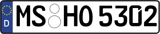 MS-HO5302