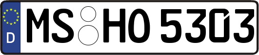 MS-HO5303