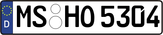 MS-HO5304