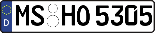 MS-HO5305