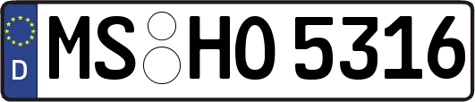MS-HO5316
