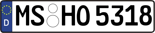 MS-HO5318