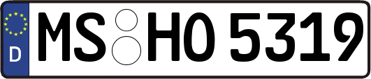 MS-HO5319