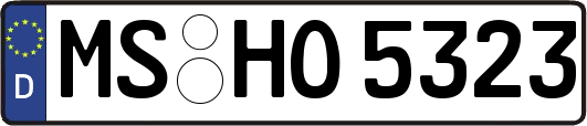 MS-HO5323