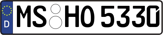 MS-HO5330