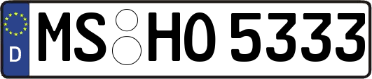 MS-HO5333