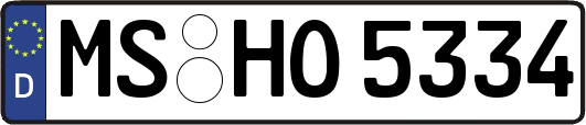 MS-HO5334