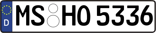 MS-HO5336