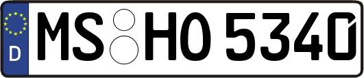 MS-HO5340