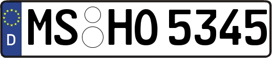 MS-HO5345