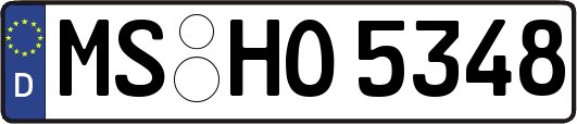 MS-HO5348
