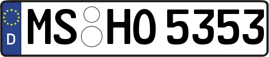 MS-HO5353