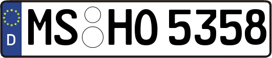 MS-HO5358