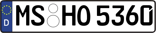 MS-HO5360