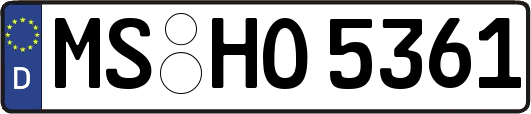 MS-HO5361