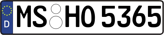 MS-HO5365