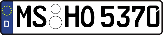 MS-HO5370
