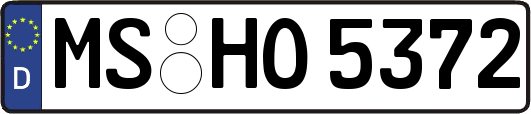 MS-HO5372