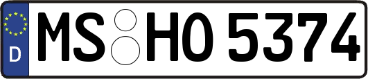 MS-HO5374