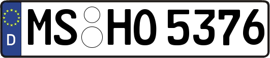 MS-HO5376