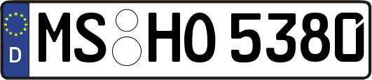 MS-HO5380