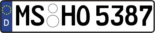 MS-HO5387