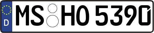 MS-HO5390