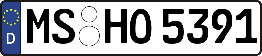 MS-HO5391