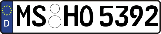 MS-HO5392