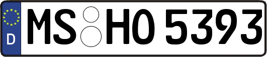 MS-HO5393