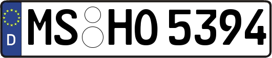 MS-HO5394