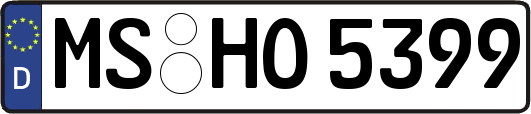 MS-HO5399