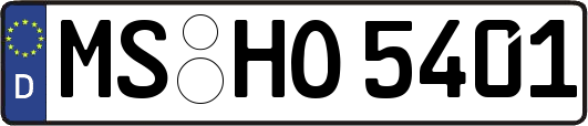 MS-HO5401