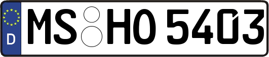 MS-HO5403