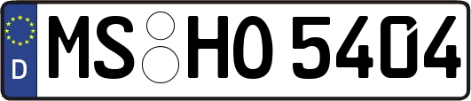 MS-HO5404