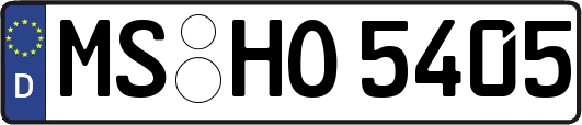 MS-HO5405