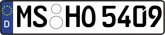 MS-HO5409