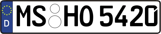 MS-HO5420
