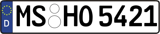 MS-HO5421