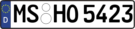 MS-HO5423